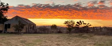 Agribusiness