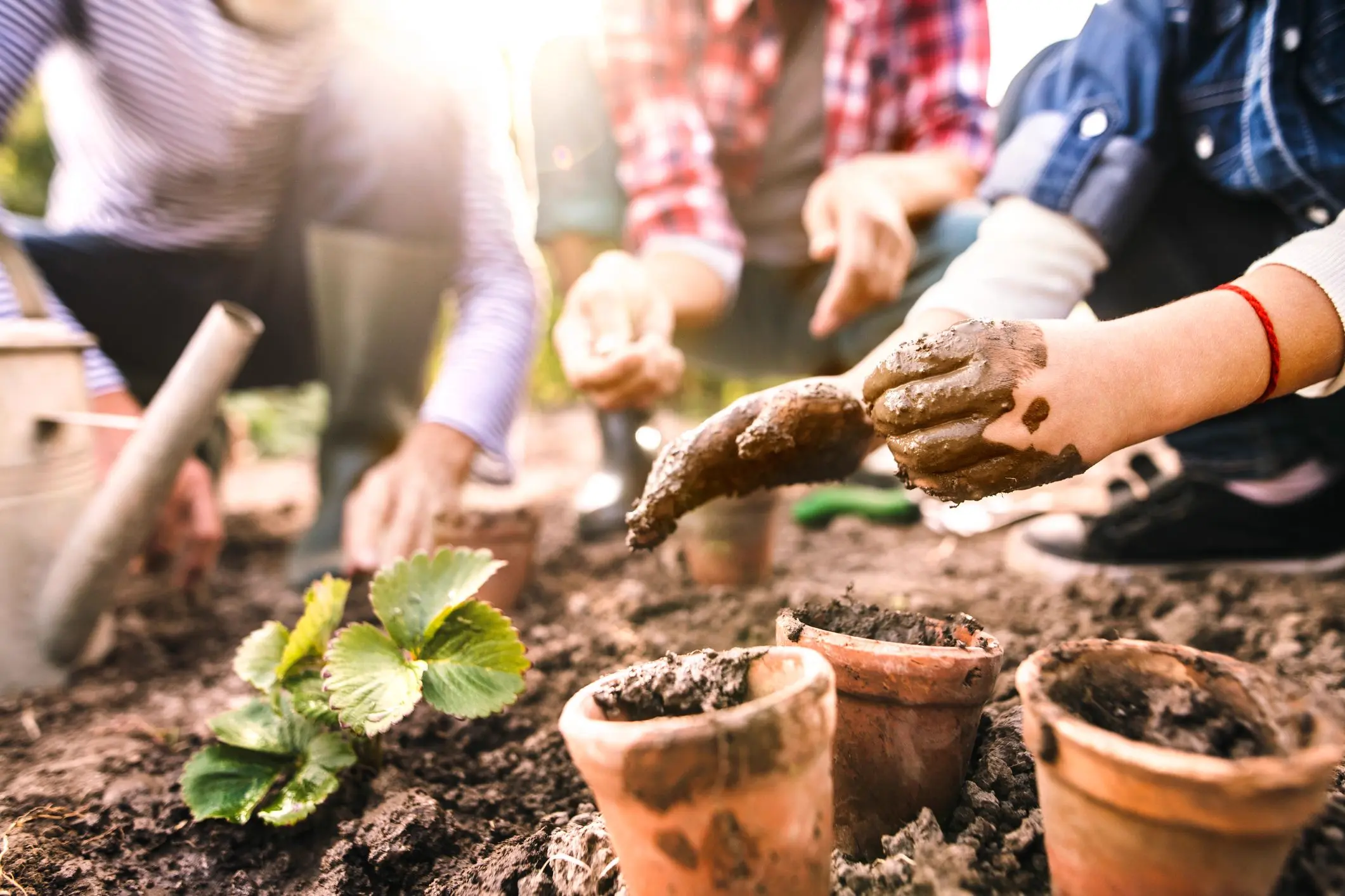 Our purpose - helping families thrive